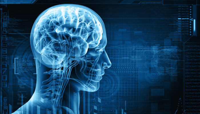 Elektriksel Sinyaller Beyinde Nasıl İşlenir?