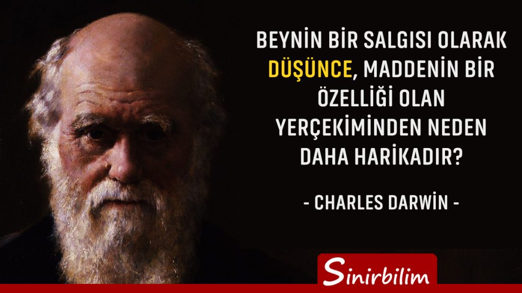 Charles Darwin - 2