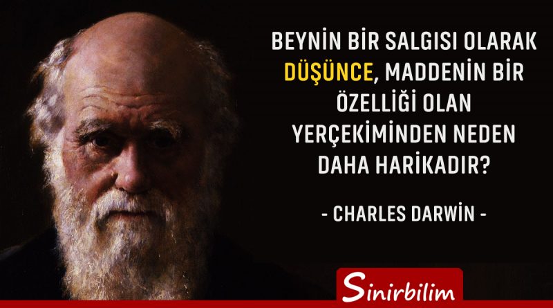 Charles Darwin - 2