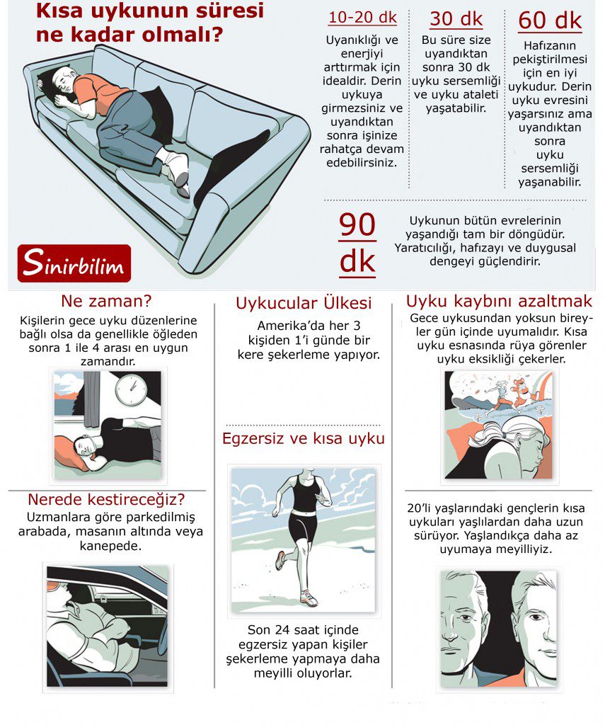 Kısa Süreli Uykular (Şekerleme)