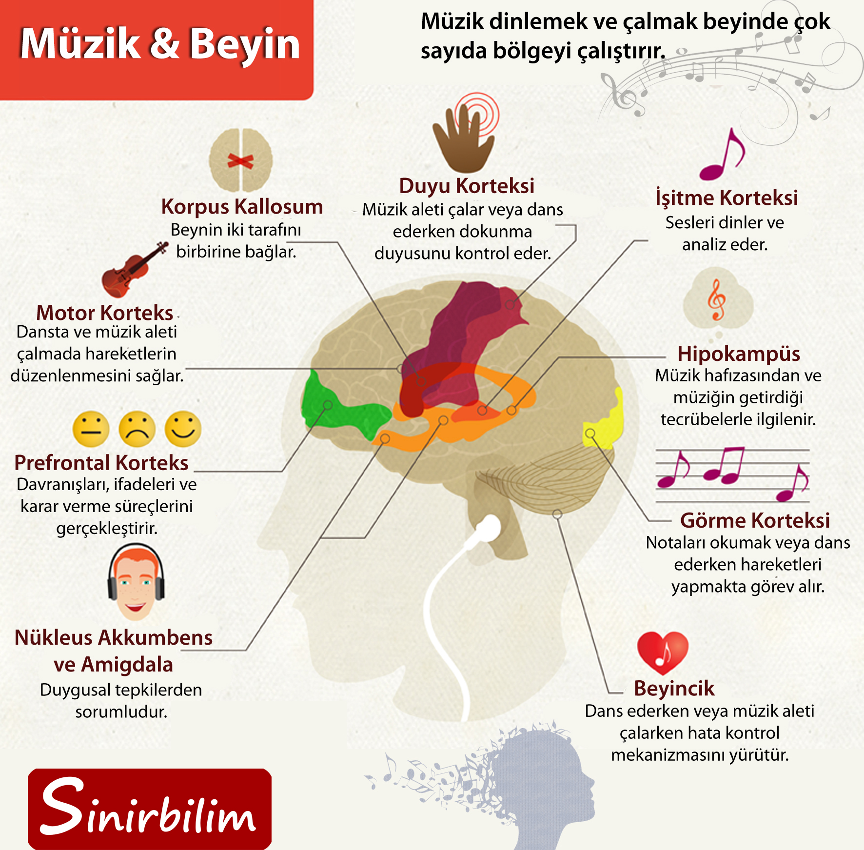 Müzik ve Beyin