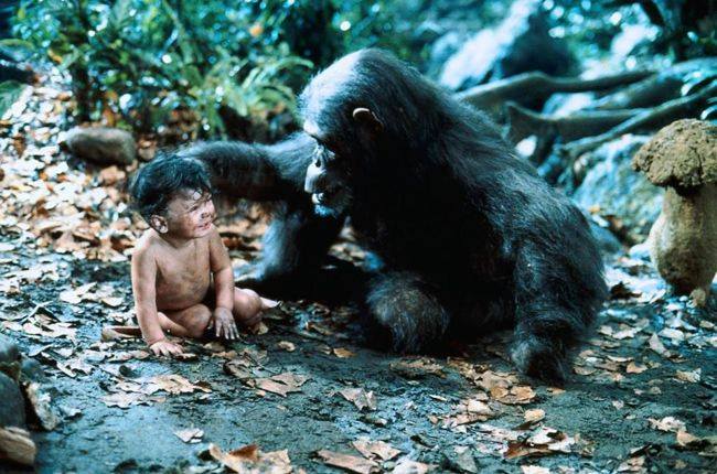 Mowgli sendromu nedir?