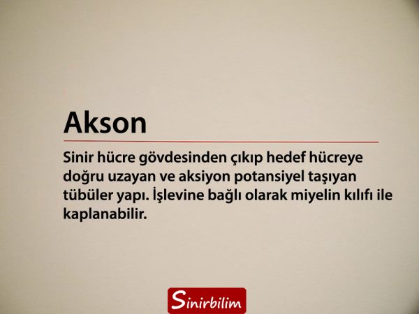 akson