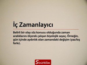 İç Zamanlayıcı