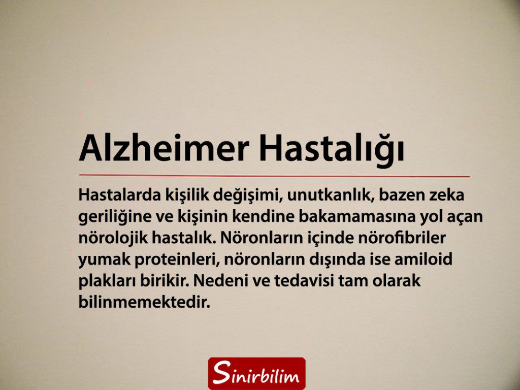 Alzheimer Hastalığı