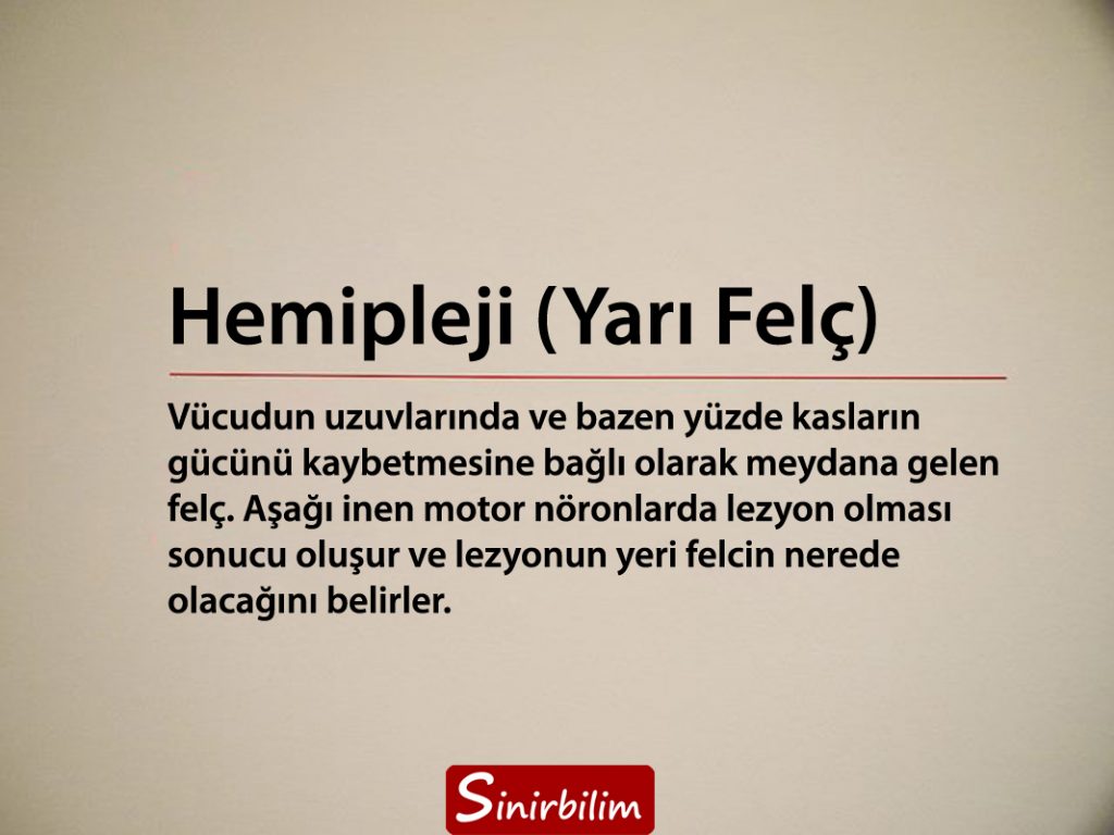 Hemipleji (Yarı Felç)