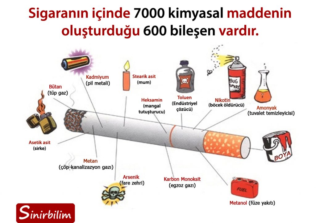 Sigaranın Bileşenleri