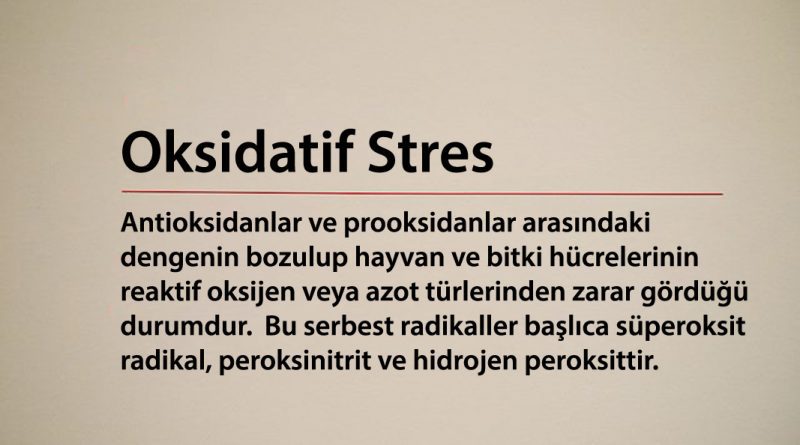 Oksidatif Stres