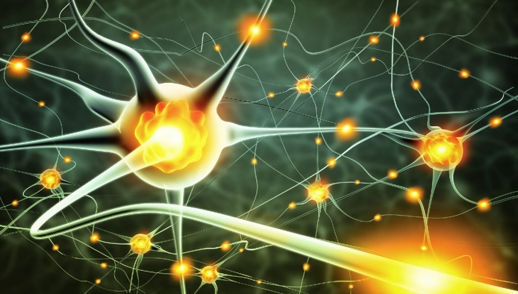 Her Nöron 1000'den Fazla Mutasyon Taşıyor Olabilir
