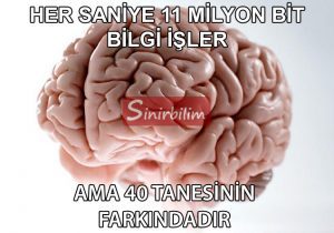 11 Milyon bit bilgi