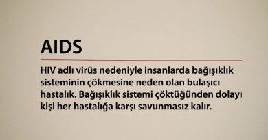 AIDS (Edinilmiş Bağışıklık Eksikliği Sendromu)