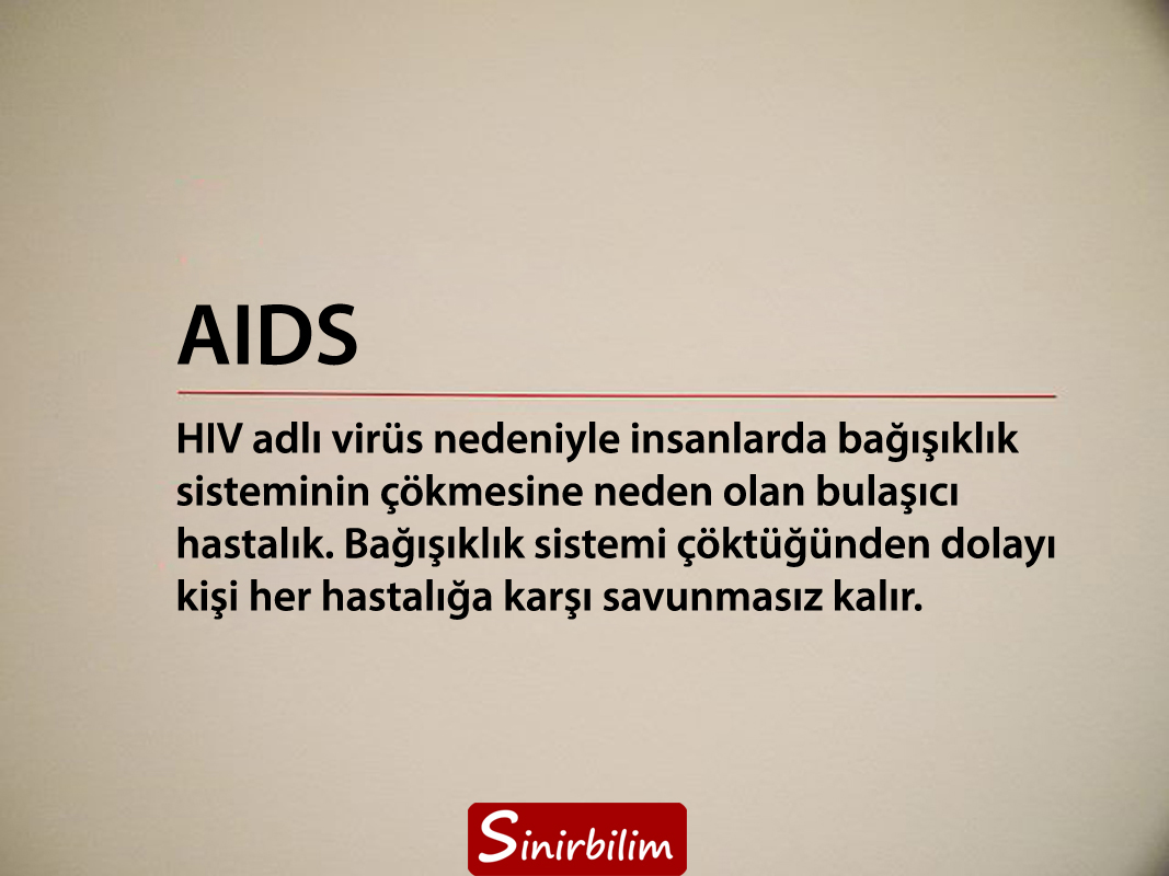 AIDS (Edinilmiş Bağışıklık Eksikliği Sendromu)