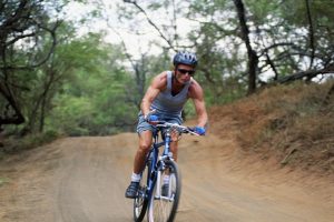 Kasların İçindeki Biyolojik Saatler Metabolik İşleyişi Etkiliyor