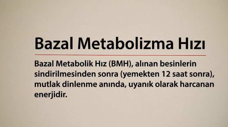 Bazal Metabolizma Hızı