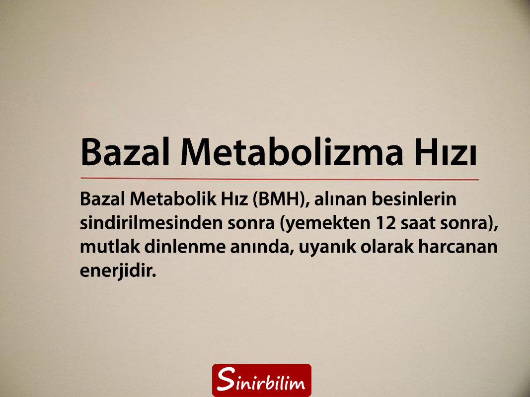 Bazal Metabolizma Hızı