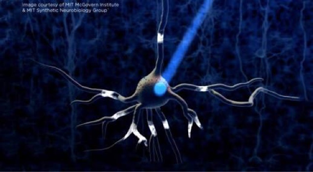 Optogenetik ile Beyni Aydınlatmak