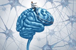 Vücudumuzun "Savaş ya da Kaç" Mekanizması