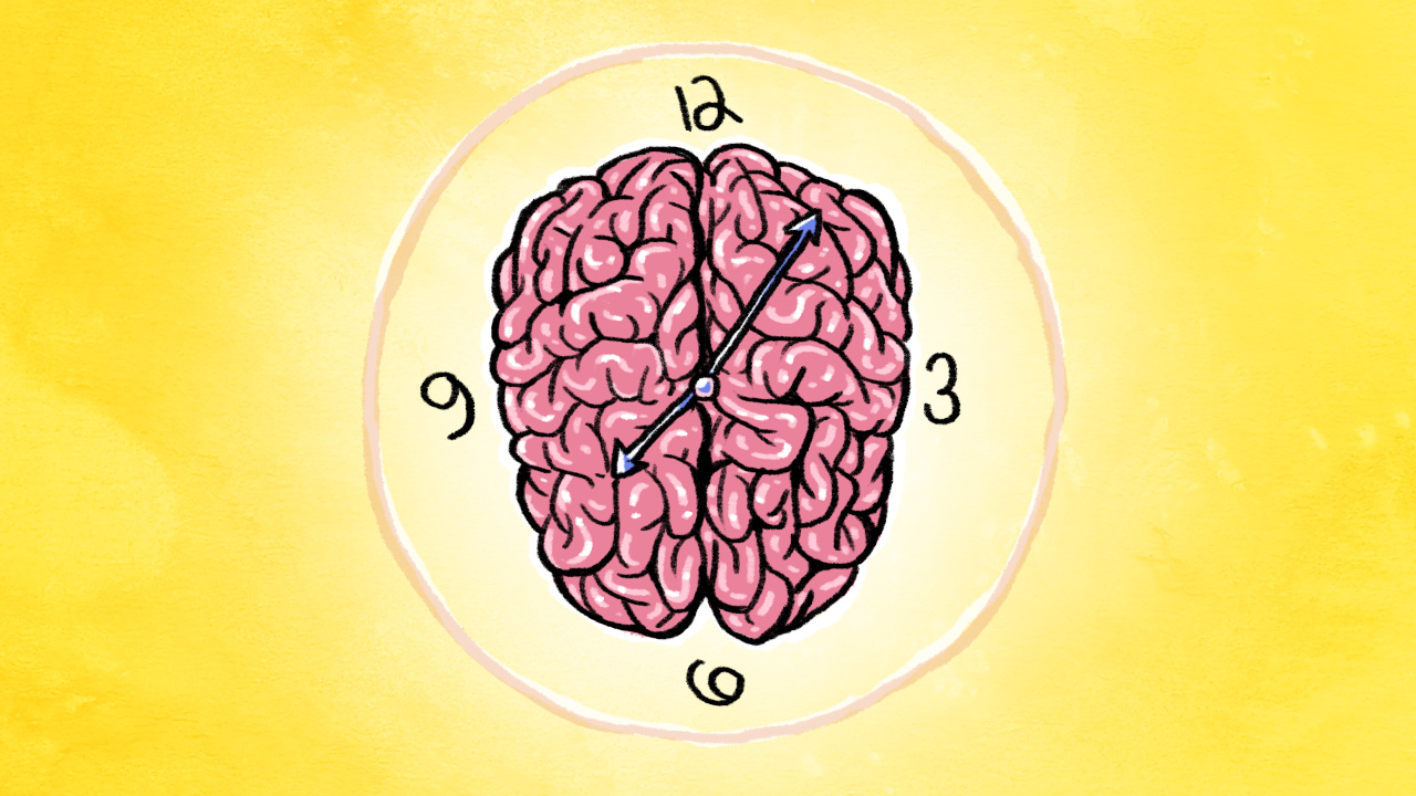 Brain 254. Мозг знания. Мозг и часы. Мозг работает. Язык и мозг.