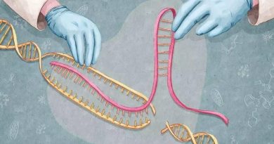 Parkinson Hastalığındaki Proteinler CRISPR ile 'Aydınlatılıyor'