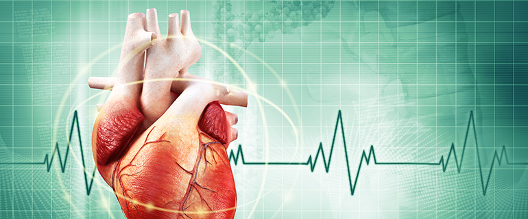 Kalp Yetmezliği Bağırsak Bakterilerine Zarar Veriyor