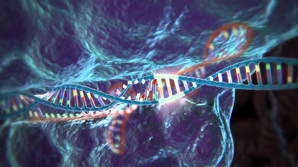 CRISPR-Cas9 Tekniğiyle Yapılan 7 Muhteşem Şey