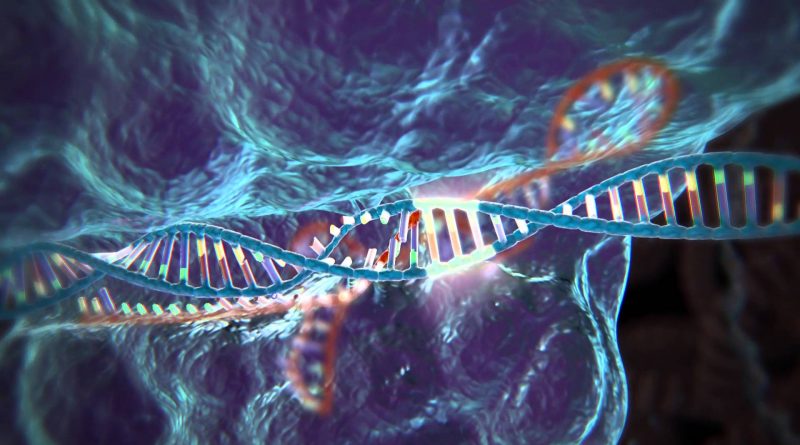 CRISPR-Cas9 Tekniğiyle Yapılan 7 Muhteşem Şey
