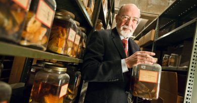 Yale üniversitesinden MD. Harvey Cushing bilim için çok değerli bir hediye bıraktı; şimdi Cushing’in beyin koleksiyonu aktif araştırmalar için kullanılıyor.