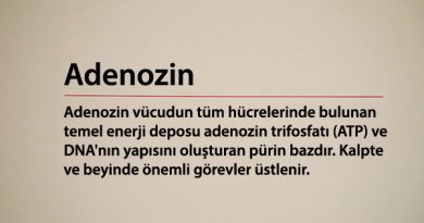 Adenozin