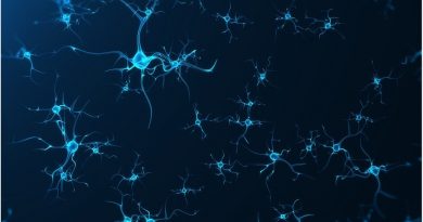 Yaşlılık Yeni Nöron Üretimini Engellemiyor