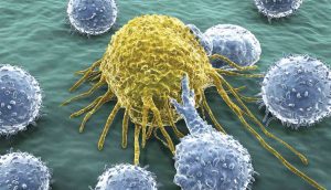 Kanser Hücreleri Laboratuvarda Ölürken Vücutta Neden Ölmüyor