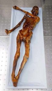 Ötzi - Buz Adam'ın Hikayesi 2