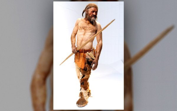 Ötzi - Buz Adam'ın Hikayesi