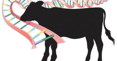CRISPR ile Değiştirilmiş Bitki ve Hayvanları Yer Misiniz?