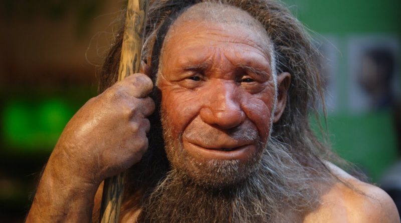 Kimdi bu Neandertaller?