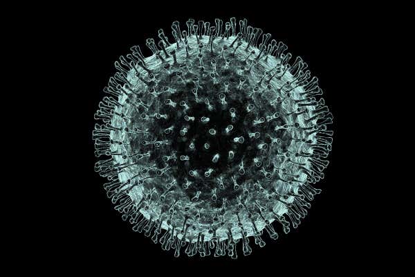 Koronavirus Salgını da Nereden Çıktı?