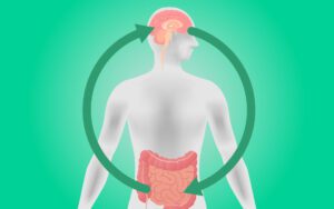 Nörodejenerasyonda Rol Oynayan Bağırsak Metabolitleri Keşfedildi!